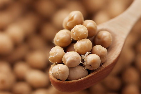 Wooden spoon filled with round beige chickpeas seedsの素材