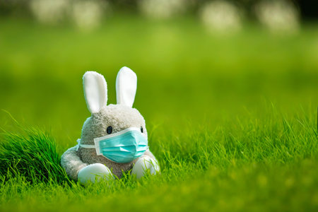Grey toy easter bunny masked sitting in tall grassの素材