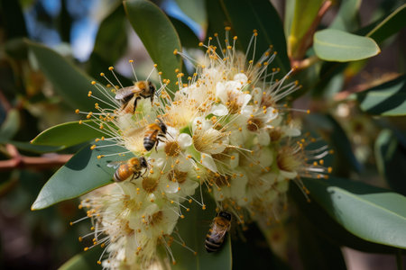 eucalyptus flower, surrounded by swarm of busy bees, created with generative aiの素材