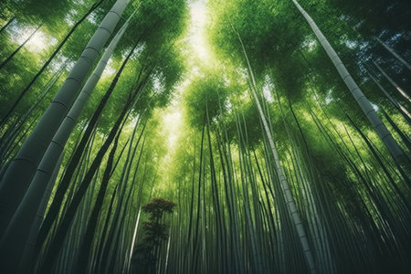 majestic tall trees with fresh green leaves and slender bamboo stalks, created with generative aiの素材
