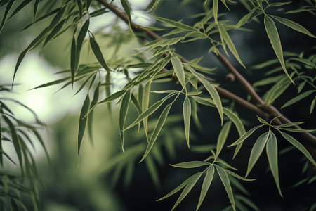 close-up of bamboo forest tree, with its intricate and delicate foliage, created with generative aiの素材