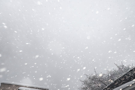 snowstorm turns the sky into a grayish-white blanket, with snowflakes floating down, created with generative aiの素材