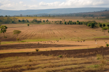 deforested area converted into farmland, with crops and livestock visible, created with generative aiの素材
