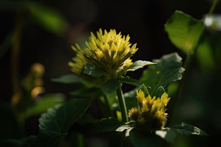 macro view of green plants and yellow flower in the sunlight, created with generative aiの素材