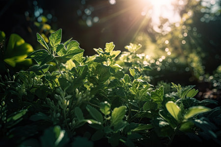 macro view of green plants with the sun shining down on them, created with generative aiの素材
