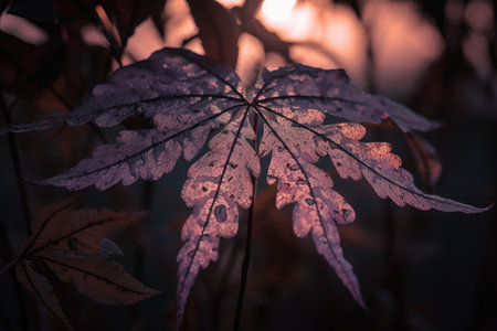 plant leaf explosion in dusky twilight setting, created with generative aiの素材