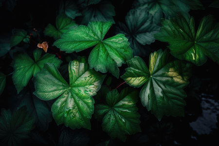 multiple plant leaves bursting with life, showcasing the power and beauty of nature, created with generative aiの素材