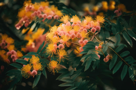 mimosa tree surrounded by blooming flowers and green leaves, created with generative aiの素材