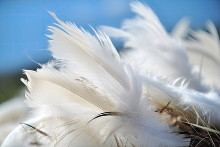 white feathers, fluttering in the breeze on a sunny day, created with generative aiの素材