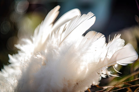 white feathers, fluttering in the breeze on a sunny day, created with generative aiの素材