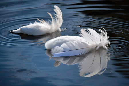 white feathers floating on calm lake, created with generative aiの素材
