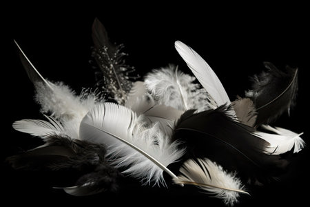 white feathers scattered on smooth black background, created with generative aiの素材
