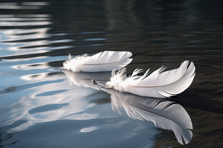 white feathers floating on a calm lake, created with generative aiの素材