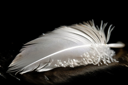 close-up of white feather, with intricate details visible, created with generative aiの素材