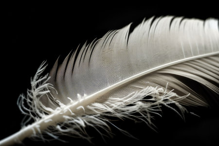 close-up of white feather, with intricate details visible, created with generative aiの素材