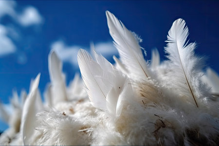 white feathers on a blue sky background, created with generative aiの素材