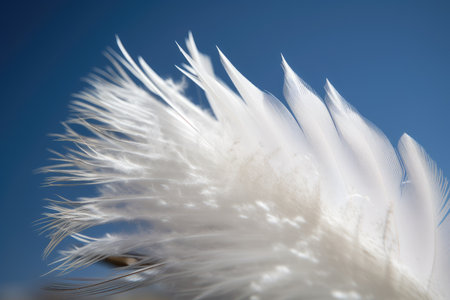 white feather blowing in the wind, against a blue sky, created with generative aiの素材