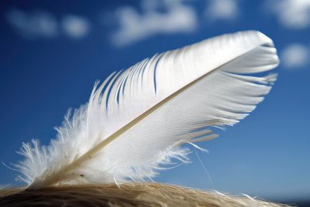 white feather blowing in the wind, against a blue sky, created with generative aiの素材