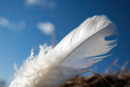 white feather blowing in the wind, against a blue sky, created with generative aiの素材