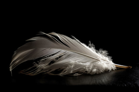 white feather resting on black background with dramatic effect, created with generative aiの素材