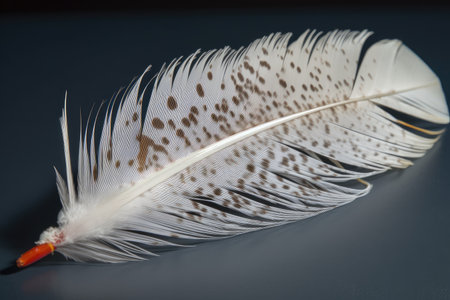 white feather, with close-up of speckled barbs and quill tips, created with generative aiの素材