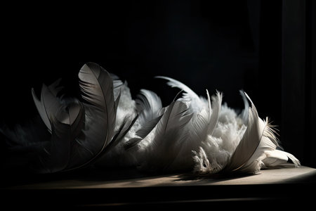 white feathers in dark room, casting dramatic shadows, created with generative aiの素材