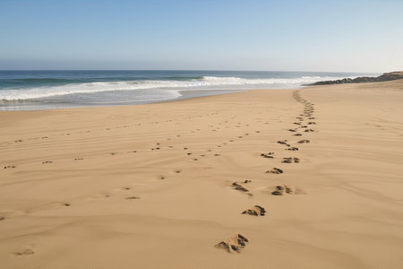 animal tracks on a sandy beach, with view of the ocean in the distance, created with generative aiの素材