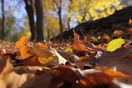 close-up of fallen leaves in the wind, with rustling sounds, created with generative aiの素材