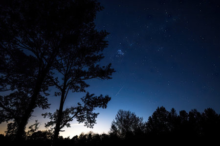 a starry night sky, with a shooting star and the silhouettes of trees visible in the foreground, created with generative aiの素材