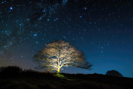 a festive, twinkling tree against a starry night sky, created with generative aiの素材