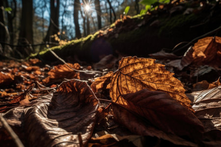 gorgeous close-up of fallen leaves, with the sun shining through them, created with generative aiの素材