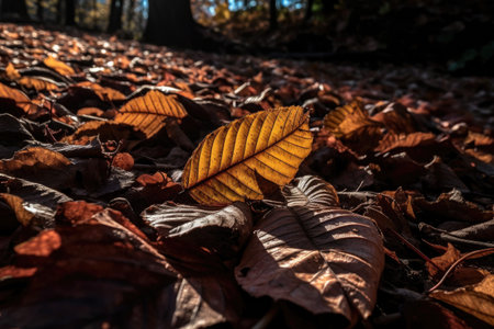 close-up of fallen leaves, with the sun shining through them, created with generative aiの素材
