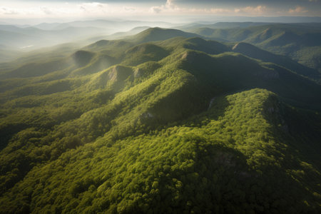aerial view from above, highlighting the grandeur and beauty of a national park, created with generative aiの素材