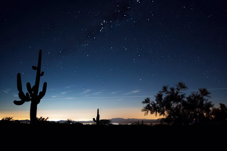 night sky, with stars and moon shining over desert landscape, with silhouette of cactus in the foreground, created with generative aiの素材