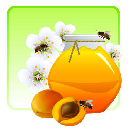 Apricot jam with flowers and fruits of an apricot. Vector illustrationのイラスト素材