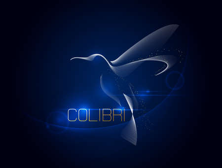 Abstract hummingbird bird colibri on a dark blue background. Vector illustrationのイラスト素材