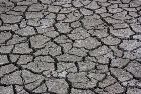 Dry cracked arid barren land