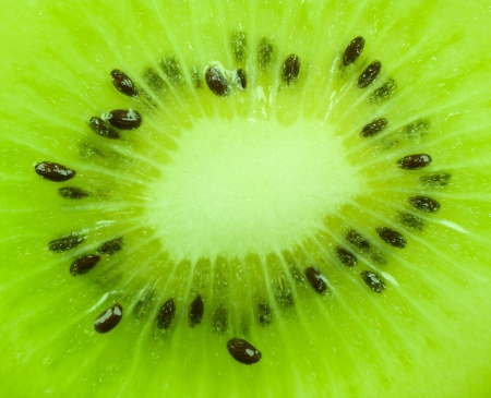 detailed texture of the kiwiの写真素材