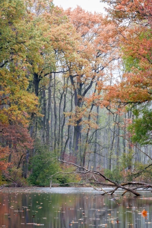 Landscape with autumn forest and lakeの写真素材