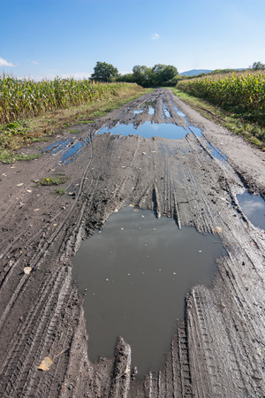 pools of water on a dirt road after rainの写真素材