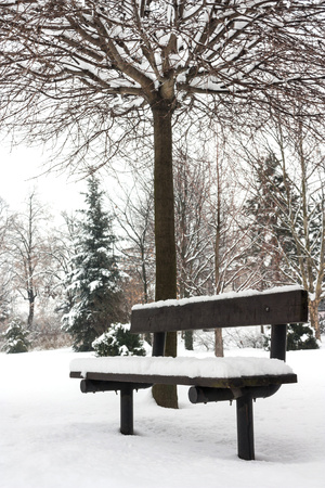 Snowy bench in city parkの写真素材