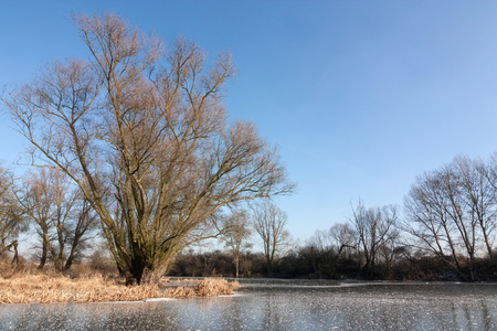 frozen pond on a background of blue skyの写真素材