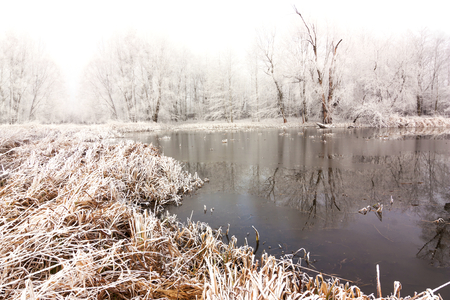 winter landscape with frozen lakeの写真素材