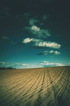 vintage landscape with field and cloudsの写真素材