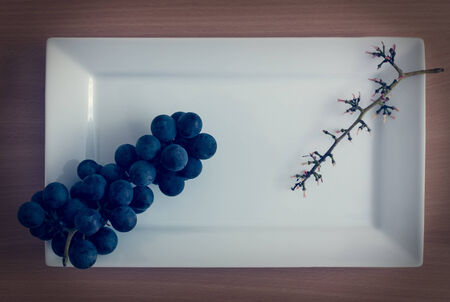 blue grapes on white plateの写真素材
