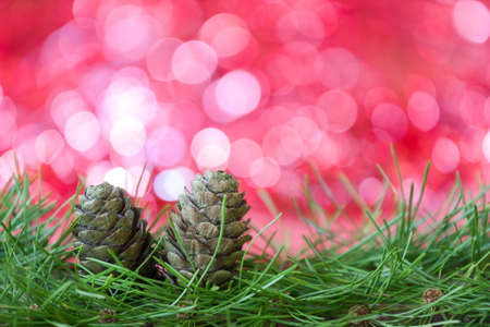 Christmas decorations on red backgroundの写真素材