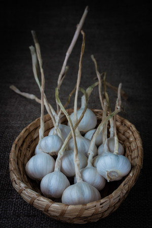 basket with garlic in vintage styleの写真素材