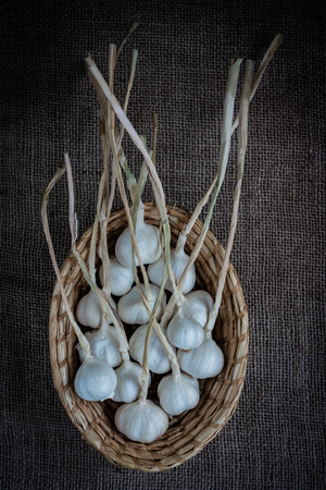 basket with garlic in vintage styleの写真素材