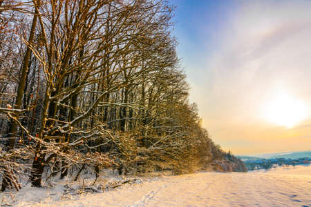 beautiful colors of a winter landscapeの写真素材