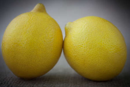 yellow lemons in vintage styleの写真素材